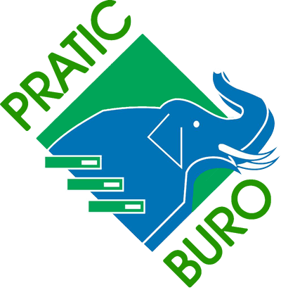 Logo Pratic Buro